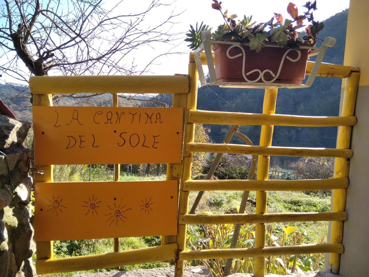 La Cantina Del Sole Villa Riccò del Golfo di Spezia Exterior foto