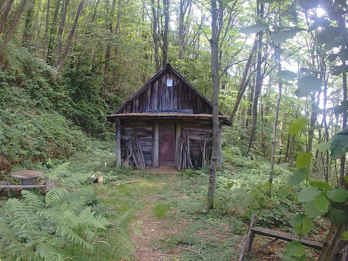 La Cantina Del Sole Riccò del Golfo di Spezia Exterior foto